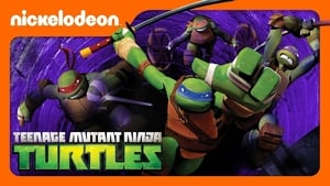 Teenage Mutant Ninja Turtles 2012 Season 3