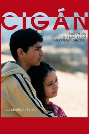 Cygan (2011)