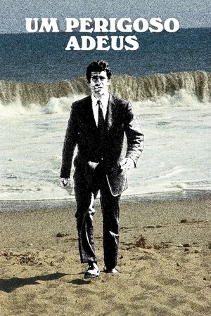 Image O Imenso Adeus