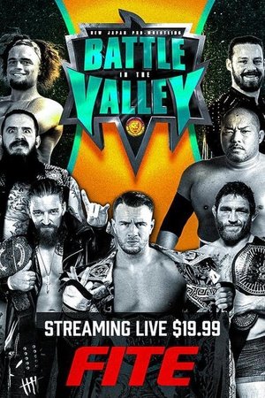 Image NJPW: Battle In The Valley