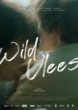 Wild Youth 6