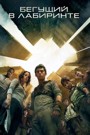 poster The Maze Runner