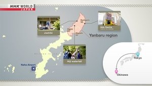 Journeys in Japan: 14×11