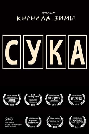 Poster Сука (2014)