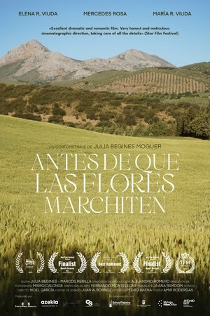 Poster Antes de que las flores marchiten 2023