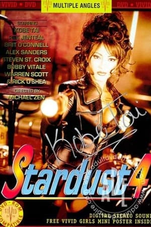 Poster Stardust 4 1995