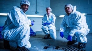 Forensics: The Real CSI Standard of Evidence