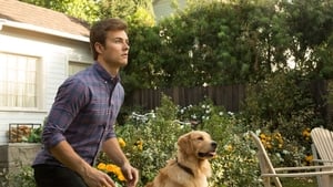 American Housewife: 3×4