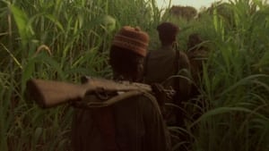 Concerning Violence film complet