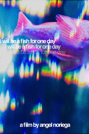 I Will Be A Fish For One Day (2026)