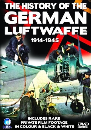 Poster History of the German Luftwaffe 1914 - 1945 (2002)