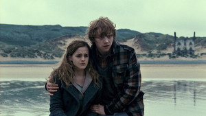 Harry Potter and the Deathly Hallows: Part 1 movie still 100