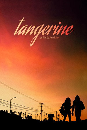 Tangerine 54