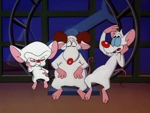 Image Pinky & The Brain ...and Larry