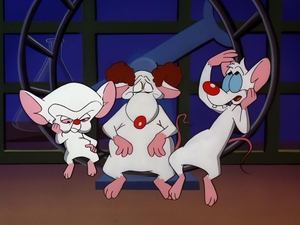 Pinky y Cerebro... y Larry