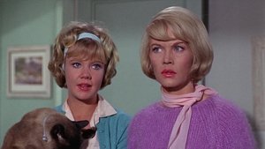 ไอ้แต้มทีเด็ด (1965) That Darn Cat!