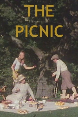 Poster The Picnic 1976