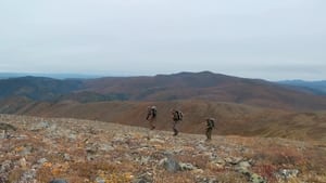 MeatEater Fortymile Caribou (2)