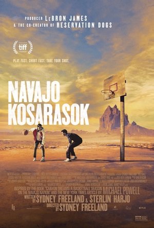 Image Navajo kosarasok