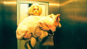 Beautiful Creatures (2000)