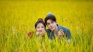 ซีรีย์จีน ฟาร์มรักนักปลูกผัก Romance on the Farm