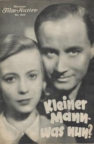 Kleiner Mann – was nun? poster