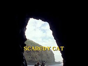 Still from Scaredy Cat