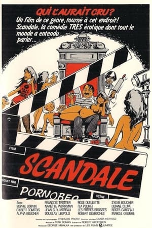 Poster Scandale 1982