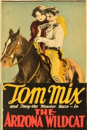 Poster The Arizona Wildcat 1927