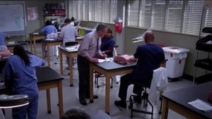 Grey’s Anatomy 9 x Episodio 13