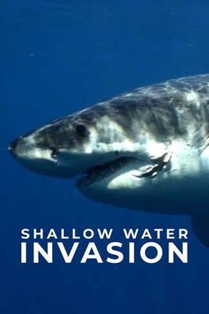 Shallow Water Invasion (2025)