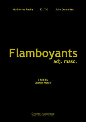 Poster Flamboyants (2021)
