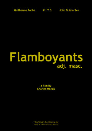 Image Flamboyants