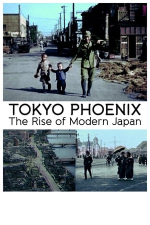 Tokyo Phoenix poster