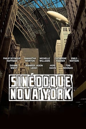 Poster Sinédoque, Nova Iorque 2008