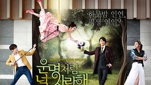 poster Fated to Love You