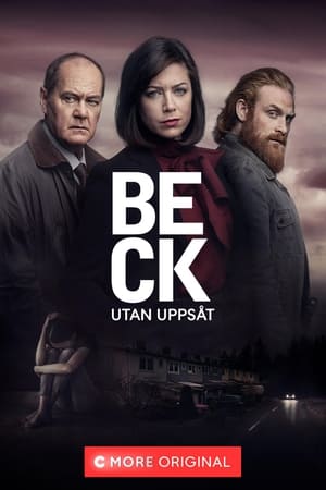 Beck: Saison 6