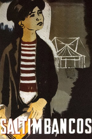 The Circus 3