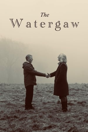 Poster The Watergaw (2024)