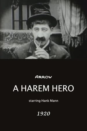 Poster A Harem Hero (1920)