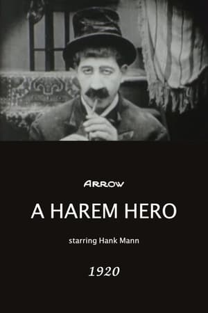 Image A Harem Hero