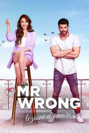 Image Mr. Wrong - Lezioni d'amore