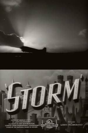 Poster Storm (1943)