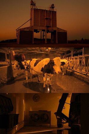 Rêvent-elles de robots astronautes?