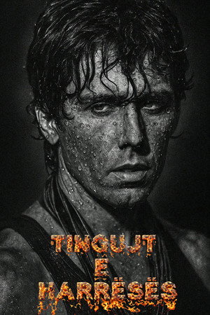 Tingujt e Harreses 3