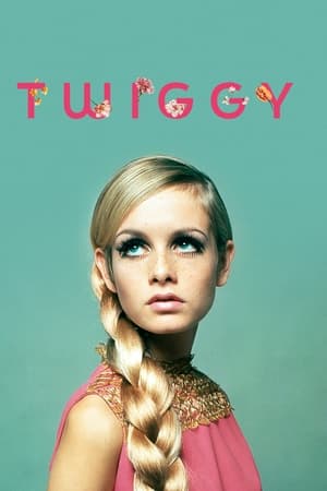 Poster Twiggy 2024