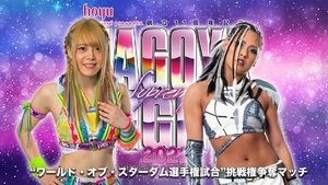 Stardom on Stardom World: 12×9