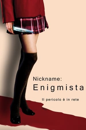 Poster di Nickname: Enigmista