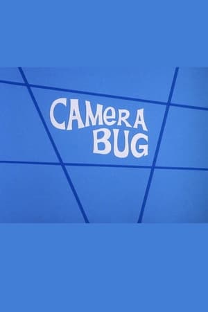 Poster Camera Bug 1972