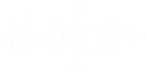 The Yin Yang Master — Logos 1